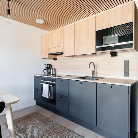 Unique Loft In A Historical Building In Pyynikki Apartman Tampere