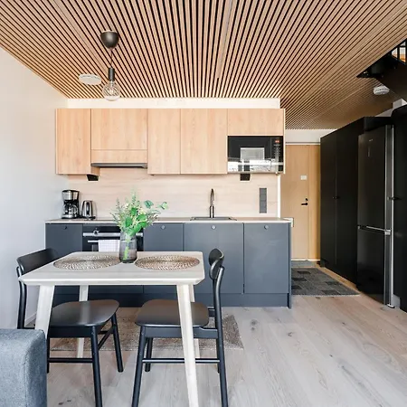 Unique Loft In A Historical Building In Pyynikki Tampere